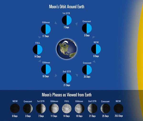 pictures of the moon phases in order. The+8+moon+phases+in+order