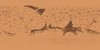 Mars (Lowell 1901, historical)