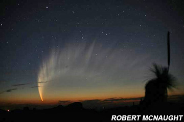 Comet McNaught © Robert McNaught